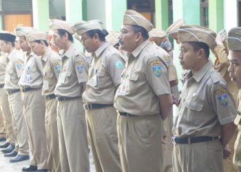 Peci Kheki, Keselarasan Dalam Berseragam