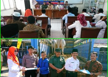 UPZ Kemenag Jepara Kembali Salurkan Sapi Produktif, 14 Sapi Telah Diterima Mustahiq