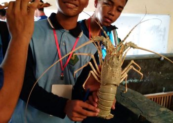 Tim KIR MAN Bawu Jepara Ikuti Science Camp 2017