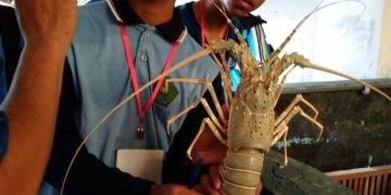 Tim KIR MAN Bawu Jepara Ikuti Science Camp 2017