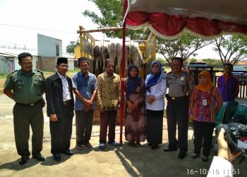 Lagi, Tiga Sapi Digulirkan Kepada Mustahiq Dalam Program Zakat Produktif